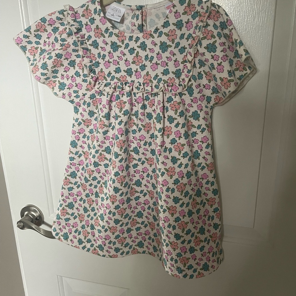 Zara Pink and Blue Floral Dress